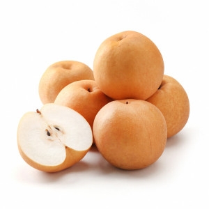 나주배  가정용 배 5kg 8-10과 신고 원황 햇배 산지직송