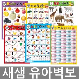 새샘  벽보시리즈-한글공부/숫자놀이/영어공부/구구단/동물/탈것들/지도/천자문/양면코팅/선택