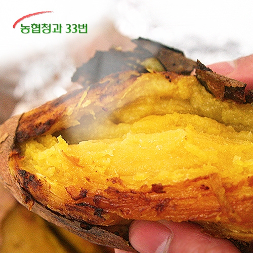 과일천하  당도높은 꿀고구마 긴특 10kg