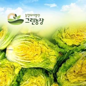 그린농장  괴산 절임배추 20kg