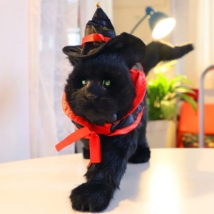 스투피드  할로윈 망토세트