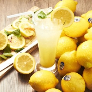 프레쉬  칠레 레몬 2kg 19입내외 /초이스,팬시레몬 선택구매