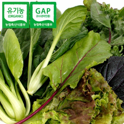 초록내음 GAP인증 유기농 쌈채소 1kg