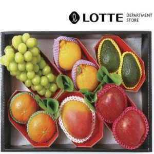 대구경북능금농협  롯데백화점 프리미엄 모둠과일 선물세트 5kg