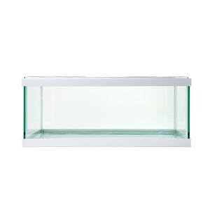 와이피  낮은 어항 50cm 화이트 50 x 28 x 22 cm