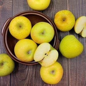 더조은푸드  황금사과 시나노골드 가정용 16~18과 5kg