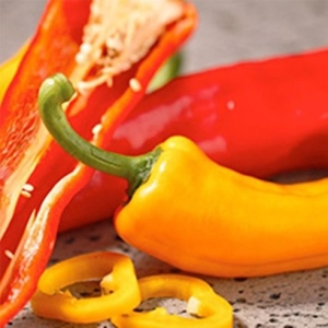 오아로  트리벨리 파프리카 1.5kg