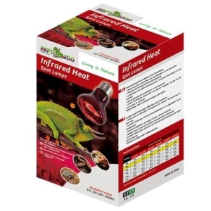 렙티주  적외선 히트램프 100W