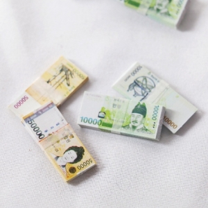 더홀릭 미니어처 돈다발 5만원권