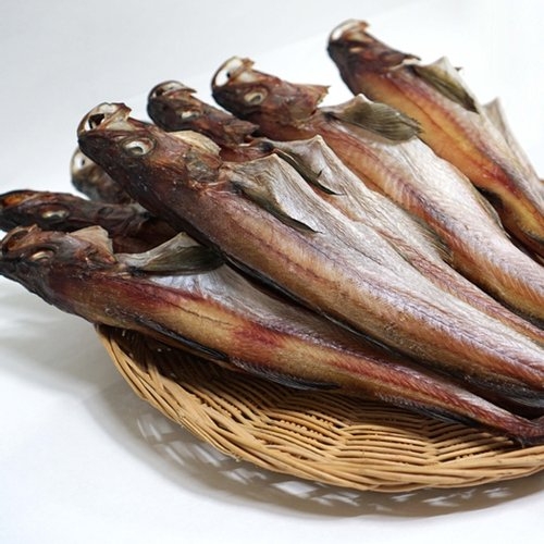 선미수산  속초 중앙시장 맛집 반건조 코다리 41cm 5마리