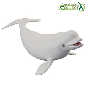 흰고래 (벨루가 88568)