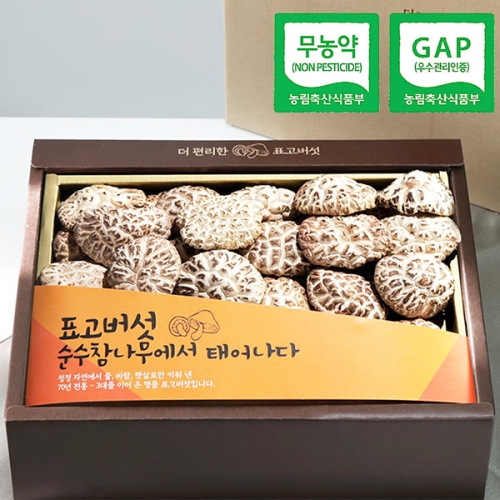 경성표고버섯농장 경성표고버섯 천자고 백화 /참나무원목표고버섯