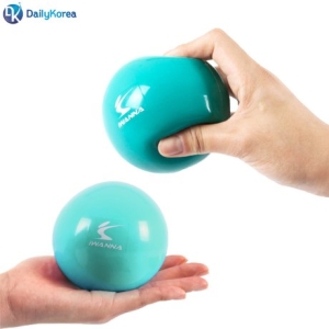 코리아스포츠 아이워너 웨이트볼1.5kg 민트 필라테스 요가 토닝볼 D