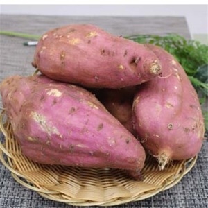 팜웨이 꿀고구마 왕못난이 10kg