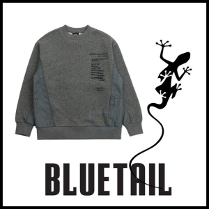 블루테일 AVH5TS04GY 그레이 톤온톤 배색 티셔츠 2021 겨울 아이템 신촌