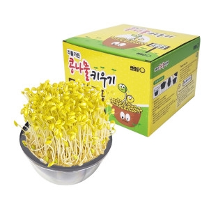 리틀가든 콩나물 키우기 국산 재배기 키트 기르기