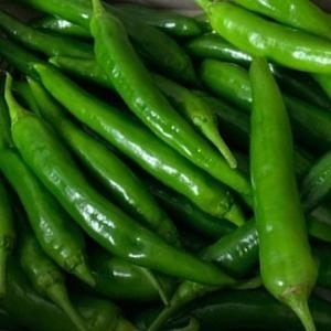 산정마을  고추 풋고추 1kg