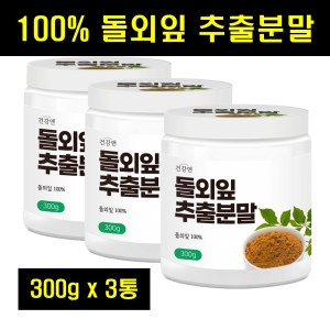 건강앤 돌외잎 추출 분말 300g