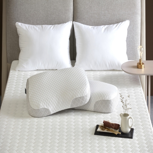 까르마 제네시스 프라임 메모리폼 베개