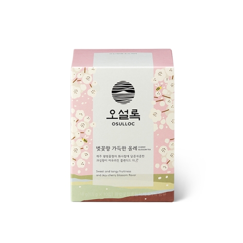 오설록  벚꽃향 가득한 올레