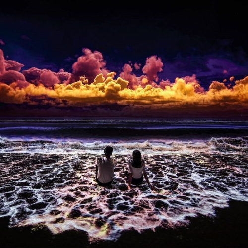 [제주] 아르떼뮤지엄 입장권