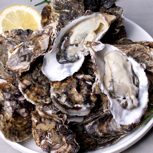 맛딜  산지직송 제철맞은 통영 석화 굴 3kg