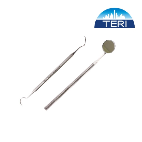 바다르산스 TG 의료용 고급 스텐 치석제거기+치경세트