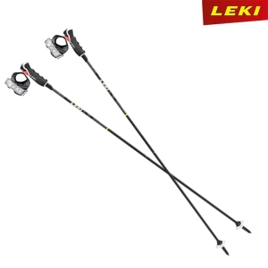 레키  3D 스키폴