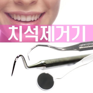 치석제거기(S-4134) + 치경 + 알콜솜
