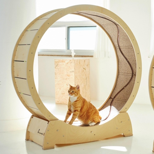 집사의반격 스타캣휠 물고기 1200