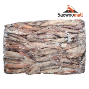 새우몰  오징어 M 20kg