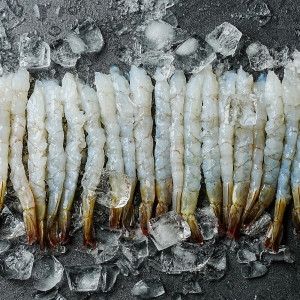 비비수산  노바시새우 40미X2팩 총600g