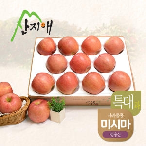 산지애  알뜰 못난이 사과 특대 4kg