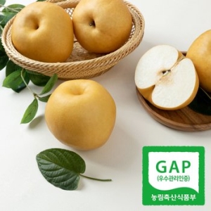 달찐과일 나주배 가정용 8~10과 5kg