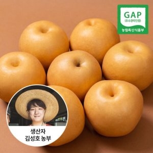 농부들의수확  나주 햇배 가정용 6~10과 5kg