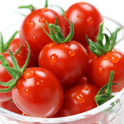 프레시몬  망고향 스테비아 방울토마토 토망고 스윗마토 500g x 2팩