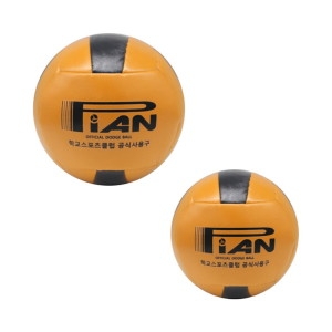 PIAN  KDBF 대한피구연맹 공인구