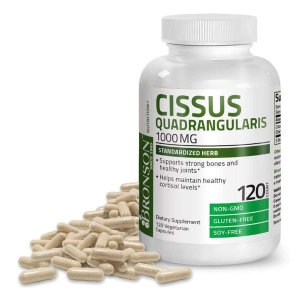 브론슨 고농축 시서스 분말 120캡슐 시저스 가루