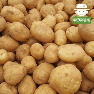 삼촌농장 속깊은 꿀맛 수미감자 중 20kg