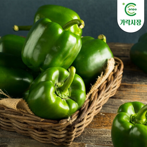 온도씨  청피망 500g