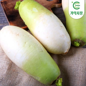 온도씨  가락시장 무