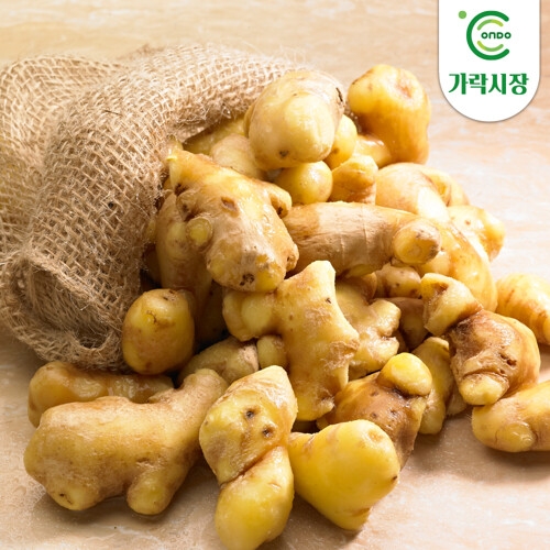 온도씨  가락시장 생강 300g