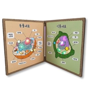 세포 소기관 액자 동물세포 식물세포