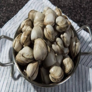 우체국쇼핑  건강한태안! 자연이 키운 개운한 맛 태안 산동죽 2kg