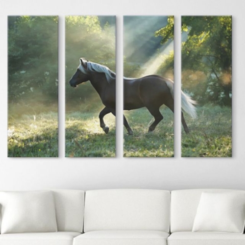 아트박스  꾸밈 cx555-자연속의야생마_대형노프레임세트