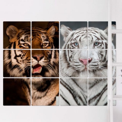 아트박스  꾸밈 pa977-멀티액자_액운을내쫓는호랑이와백호