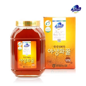 영월농협 영월 동강마루 야생화꿀 2kg 병