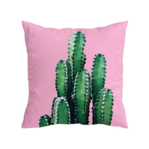 오아시스  Oasis Cushion