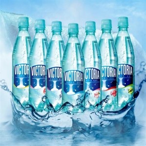 웅진식품 더 빅토리아 배 500ml