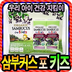  네이쳐스웨이 오가닉 삼부커스 포 키즈 120ml [2개]